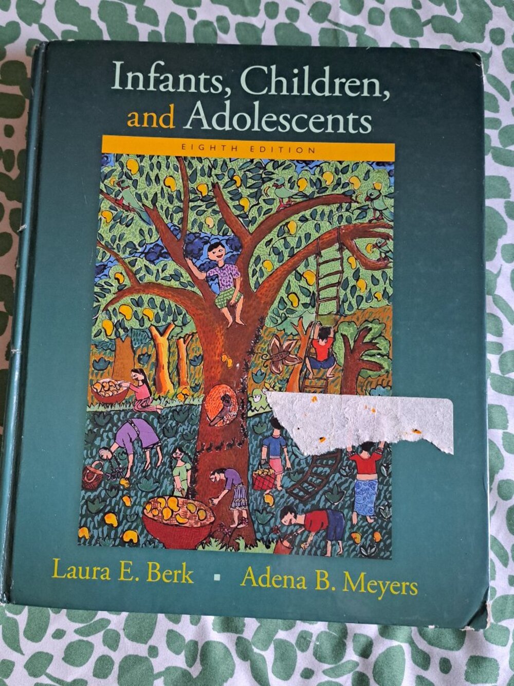 Infants, Children, and Adolescence Eighth Edition